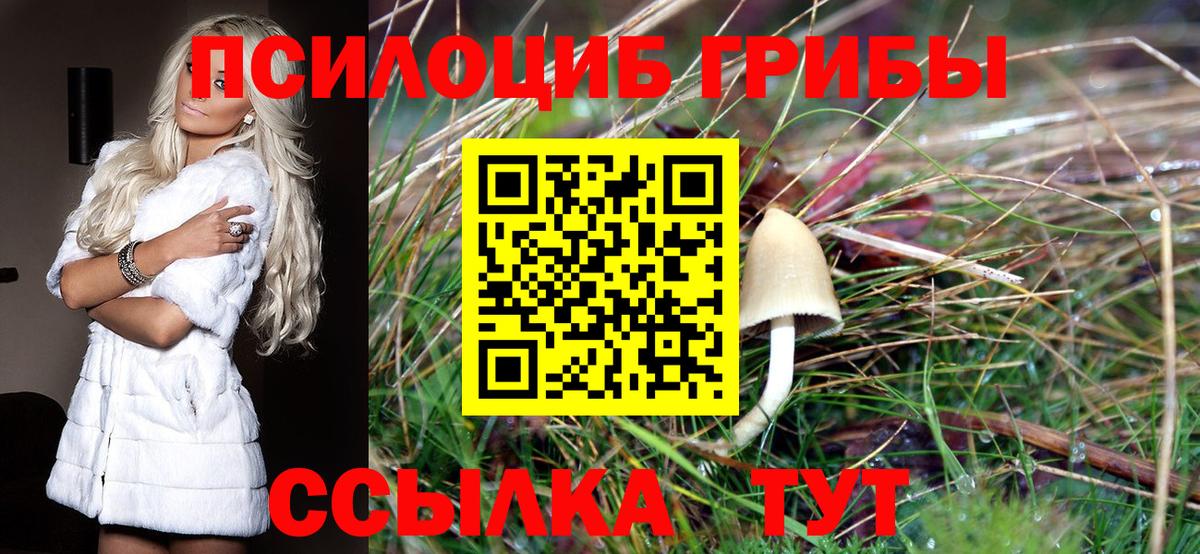 Псилоцибиновые грибы Cubensis Среднеуральск