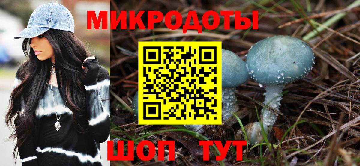 Среднеуральск  Галлюциногенные грибы Psilocybe  Вход с VPN  Галлюциногенные грибы Psilocybe 
